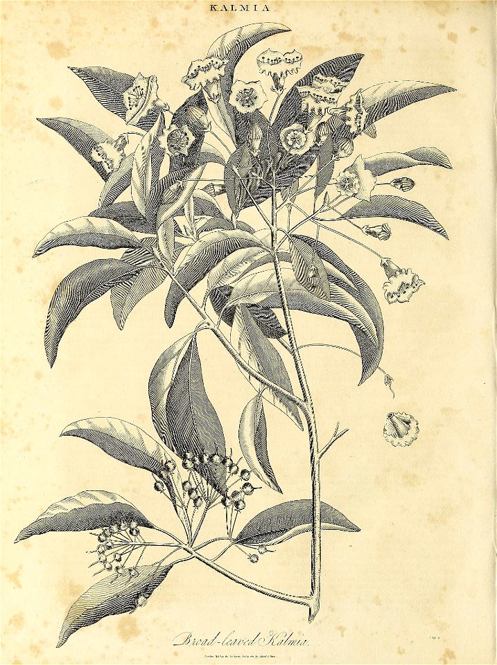 n633_w1150