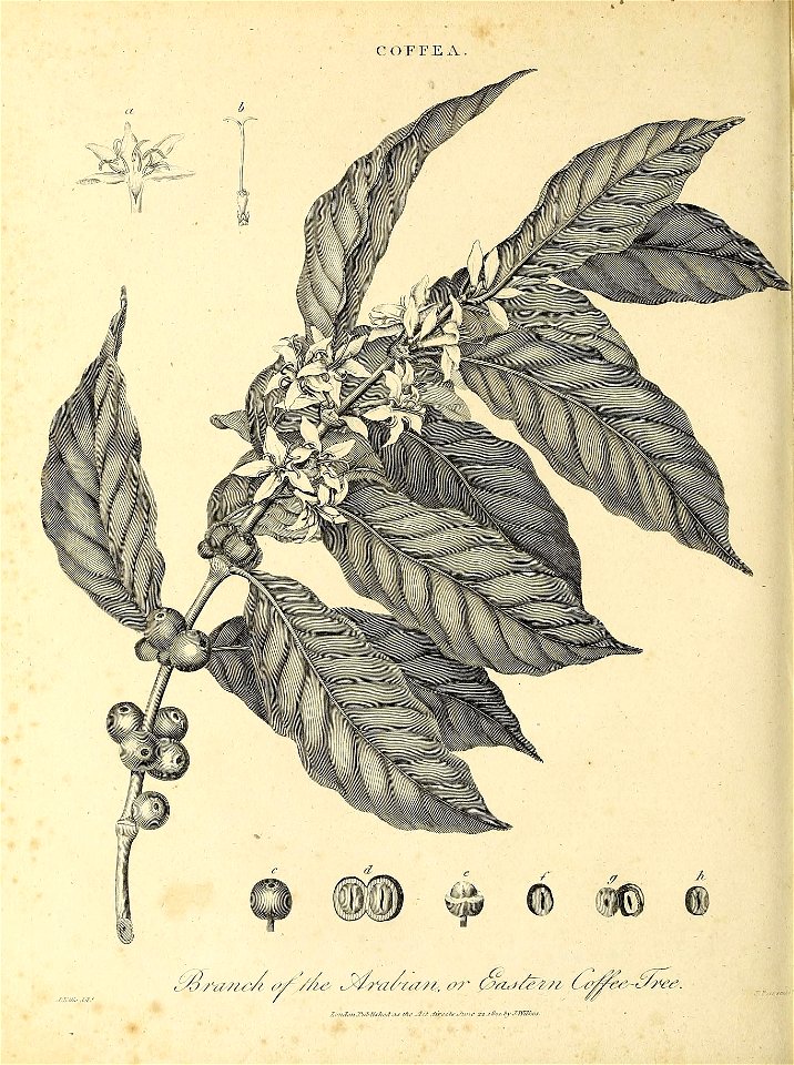 n847_w1150
