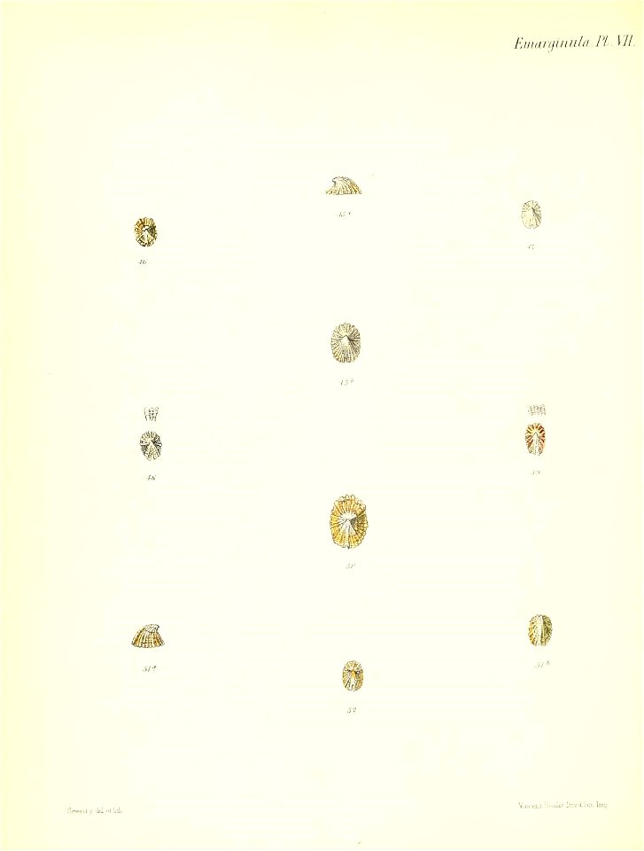 n319_w1150