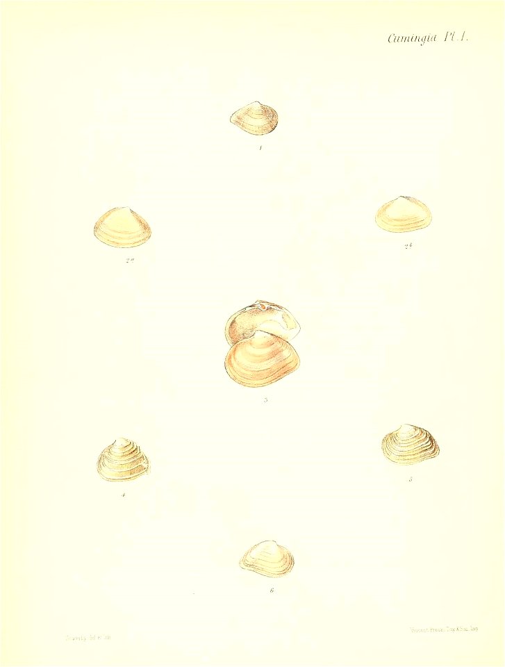 n247_w1150