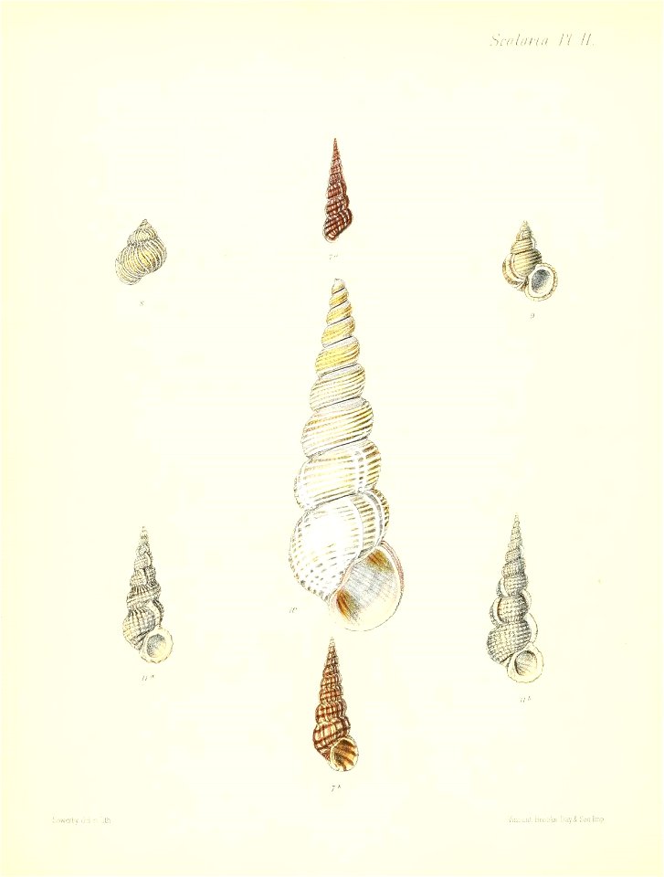 n183_w1150
