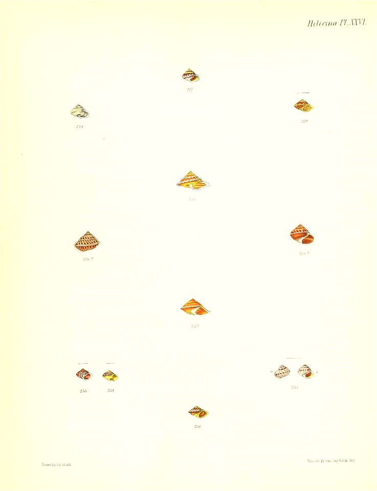 n111_w1150