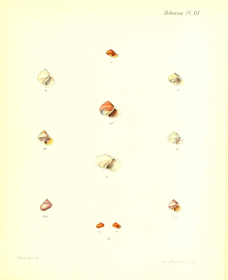 n19_w1150