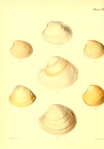 n505_w1150