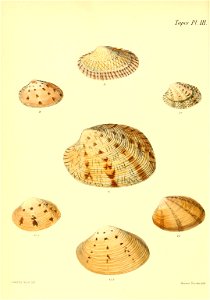 n573_w1150