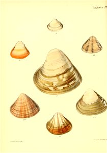 n441_w1150