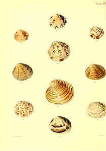 n377_w1150