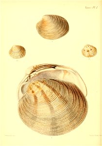 n317_w1150