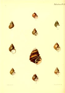 n101_w1150