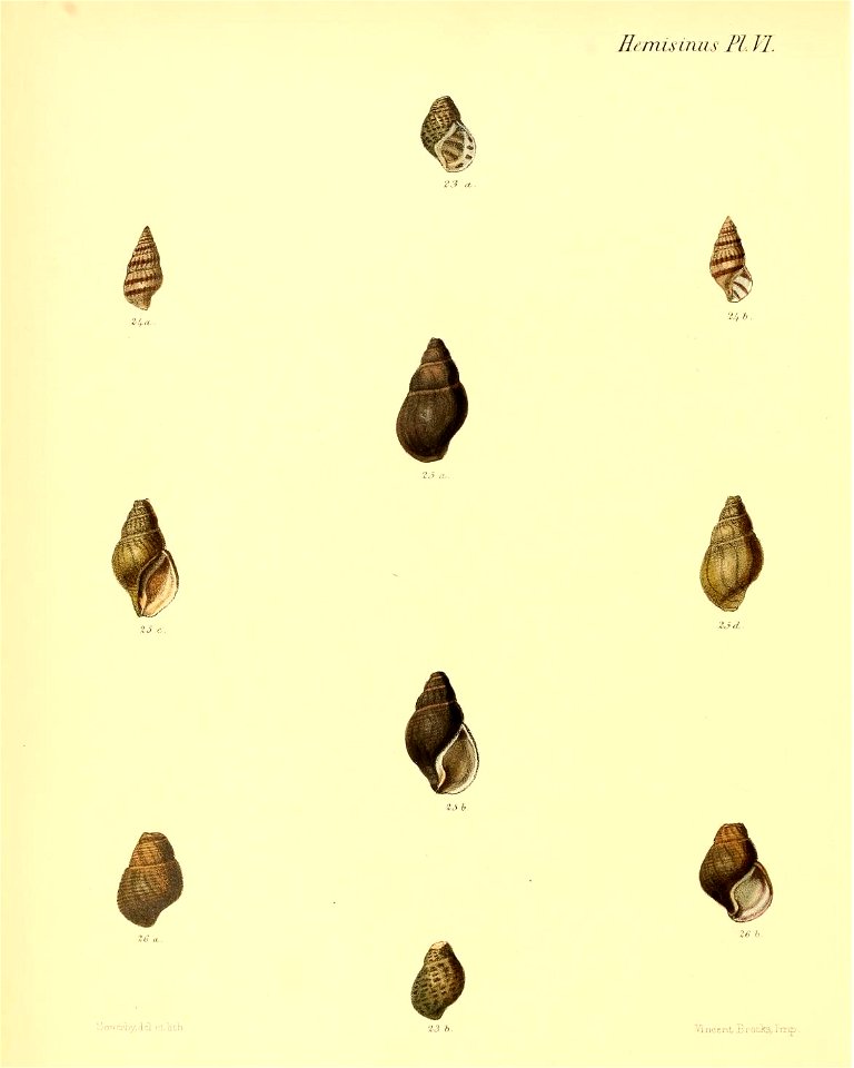 n467_w1150
