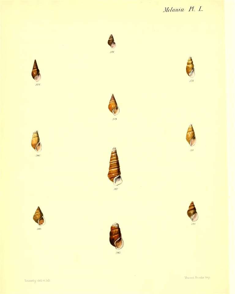 n399_w1150