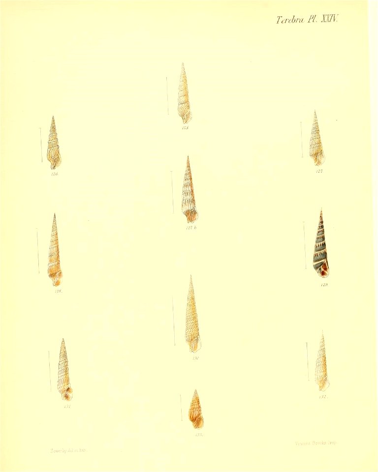 n147_w1150