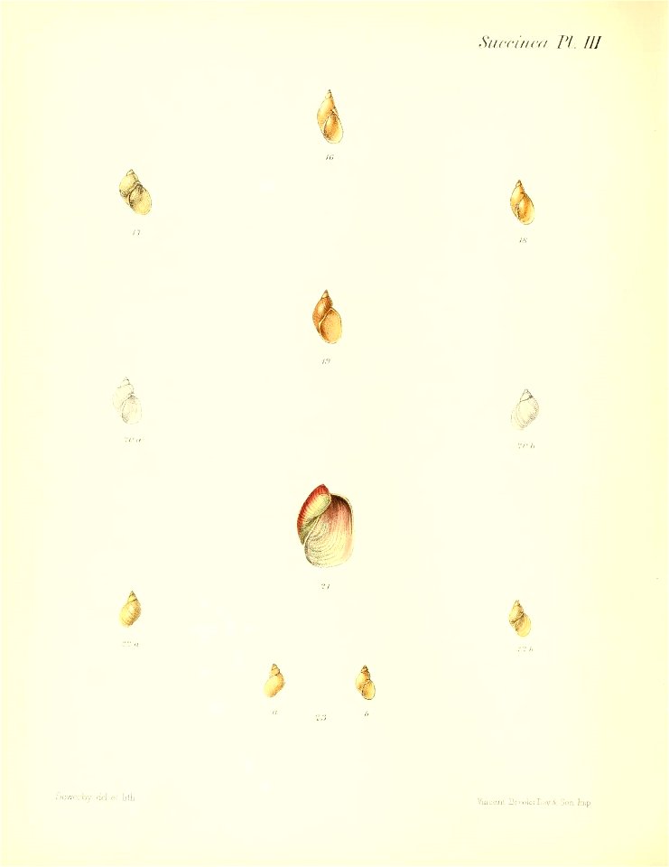 n379_w1150