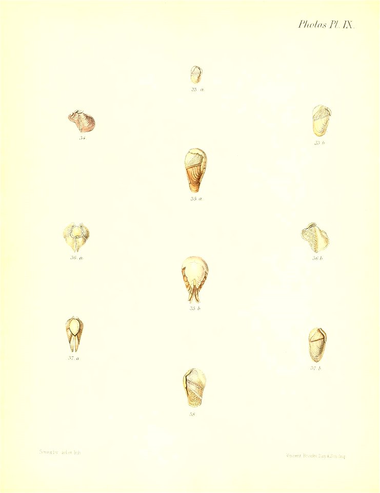 n237_w1150