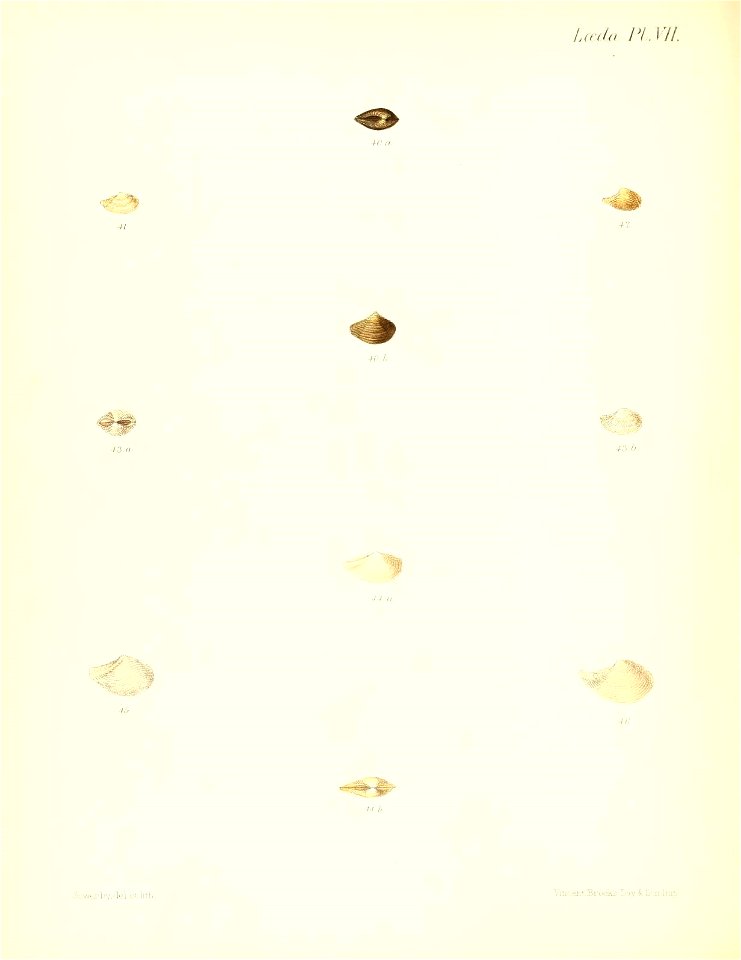 n305_w1150