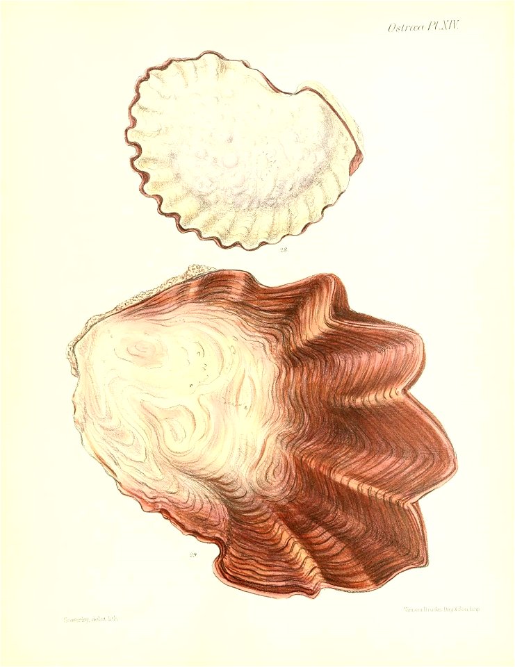 n109_w1150