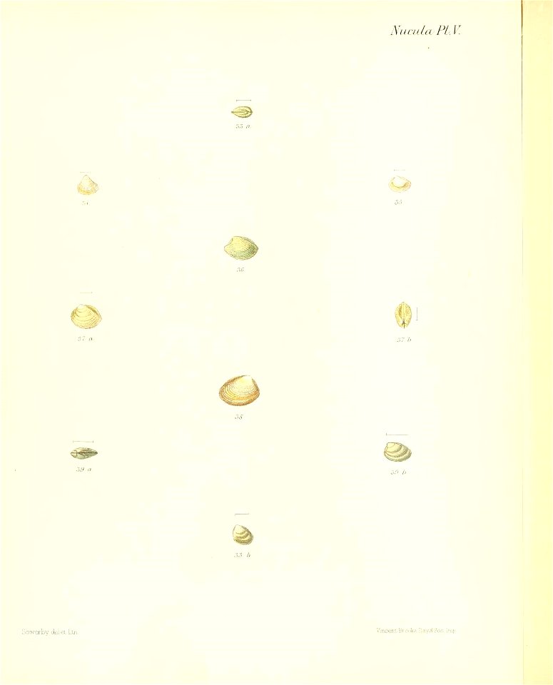 n43_w1150