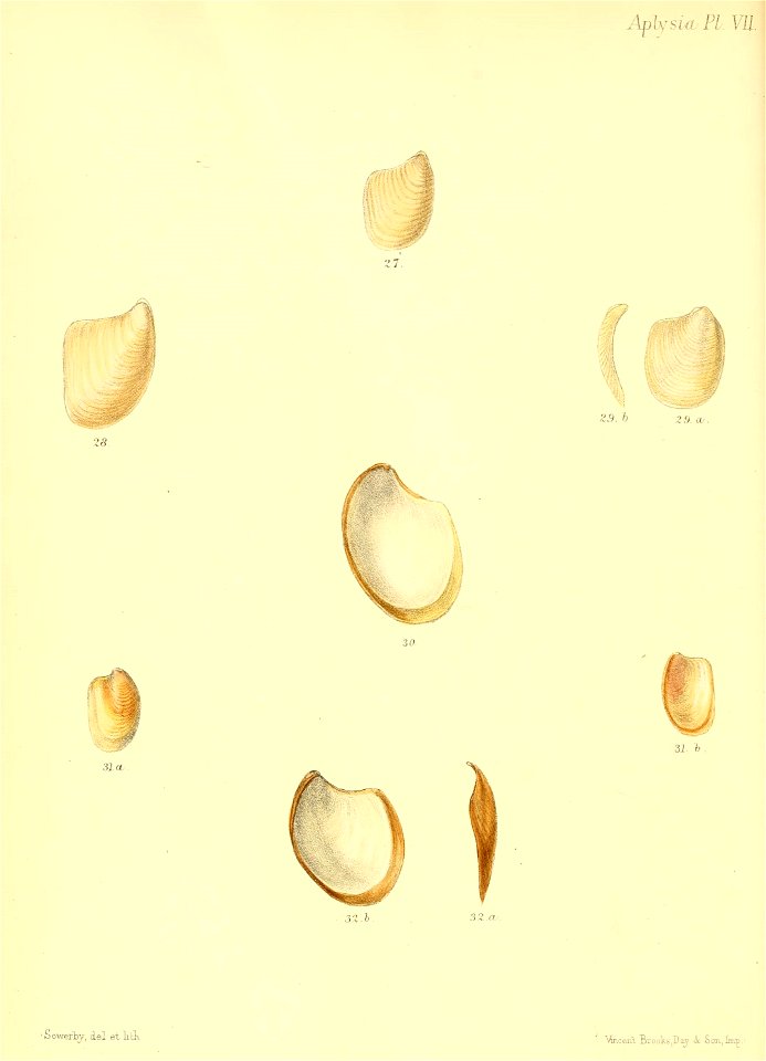 n491_w1150