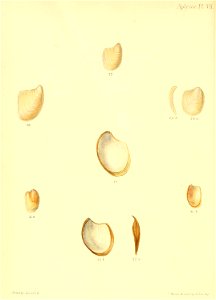 n491_w1150