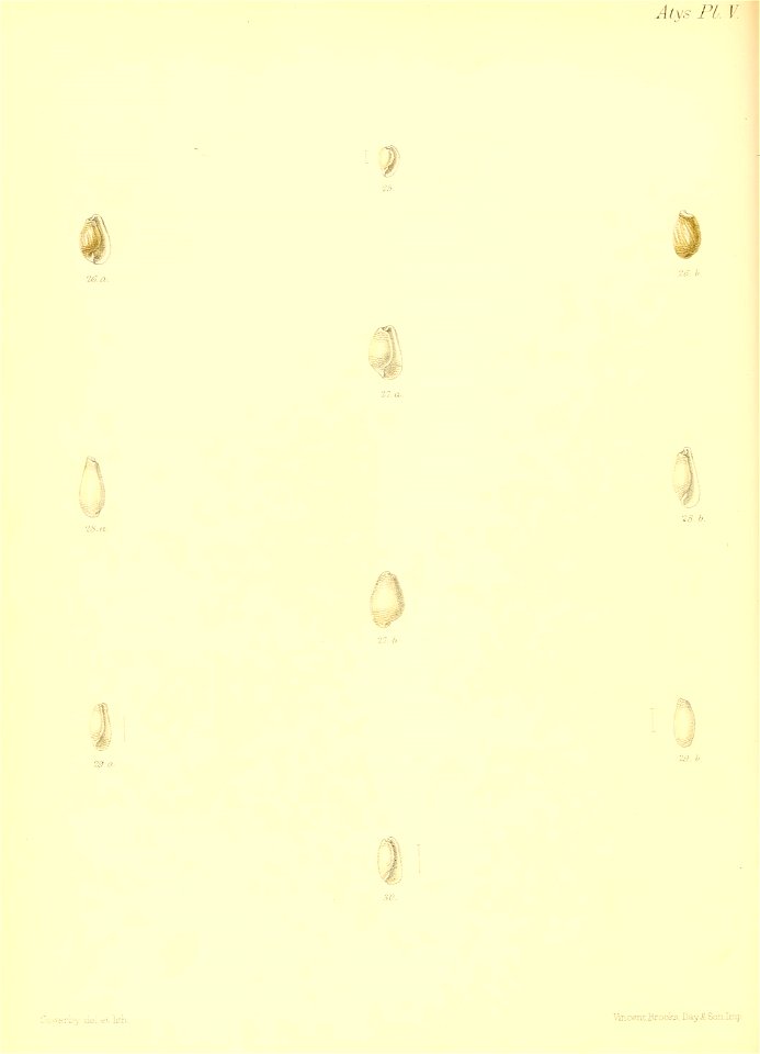 n419_w1150