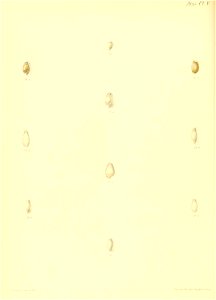 n419_w1150