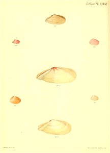 n351_w1150
