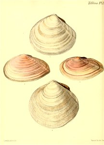 n163_w1150