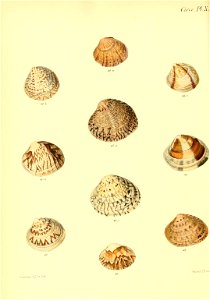 n557_w1150