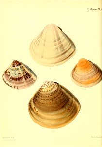 n429_w1150