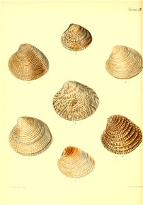 n365_w1150