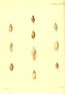 n191_w1150