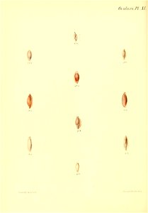 n255_w1150