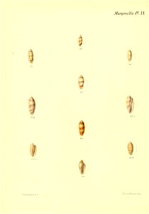n127_w1150