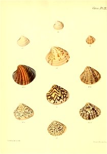 n553_w1150