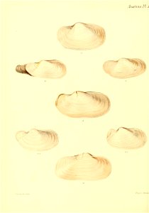 n293_w1150