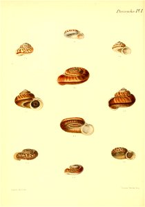 n157_w1150