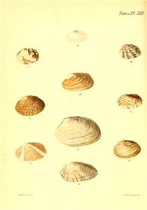 n613_w1150