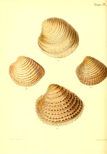 n357_w1150