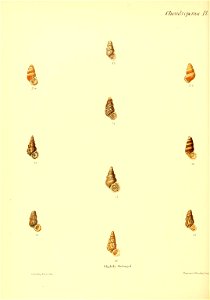 n217_w1150