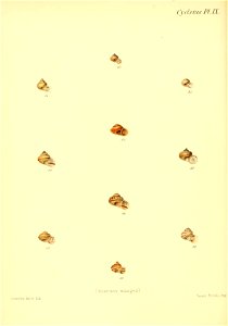 n149_w1150