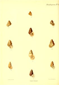 n213_w1150