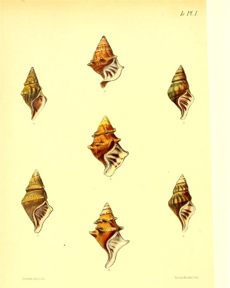 n517_w1150