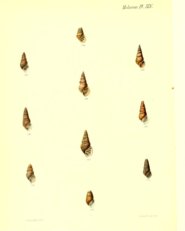 n379_w1150