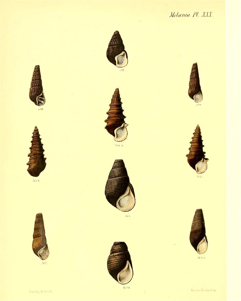 n319_w1150