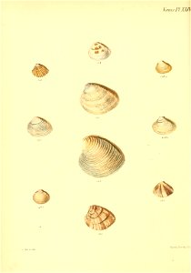 n409_w1150