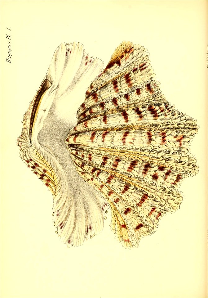n279_w1150