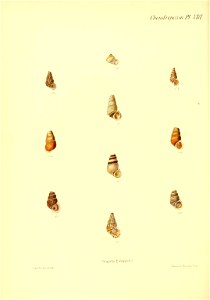 n209_w1150