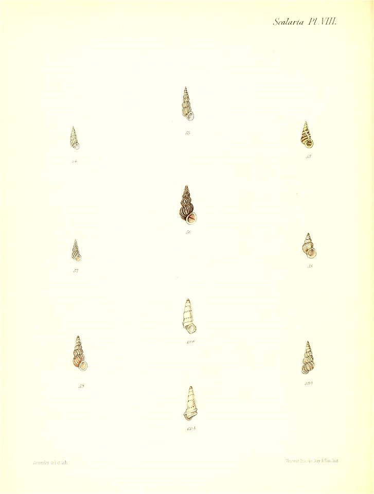 n207_w1150