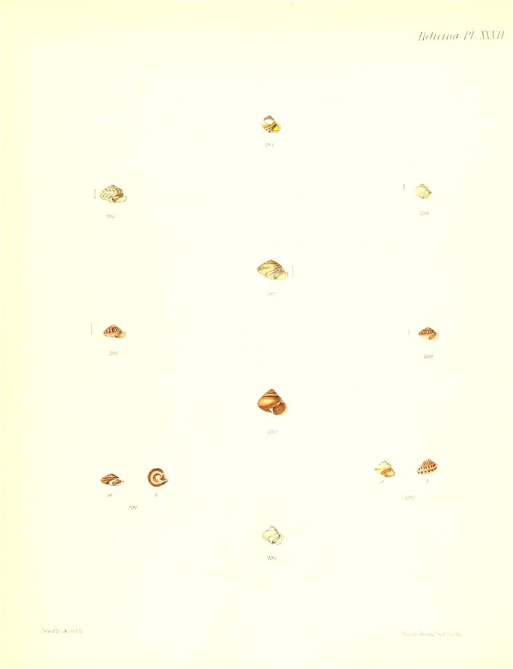 n135_w1150