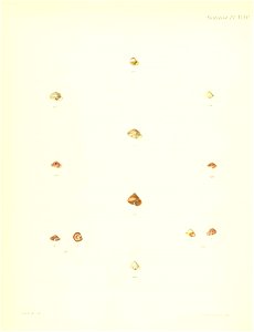 n135_w1150